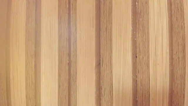 Little__Honey webcam