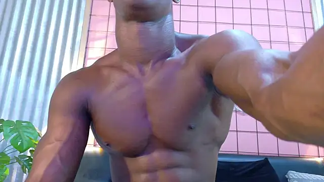 martin_killer webcam