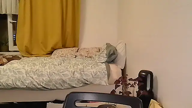 belgianshantie webcam