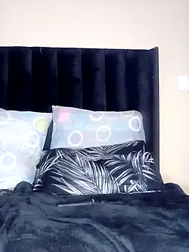 Nicollet2 webcam
