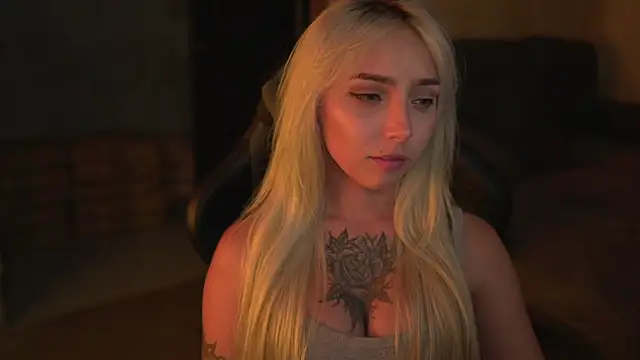 lis_silver webcam