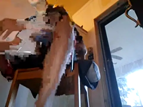 ThrowedWorldWide webcam
