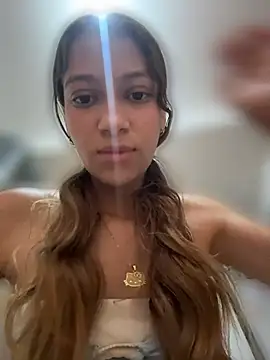 Vanneskk webcam