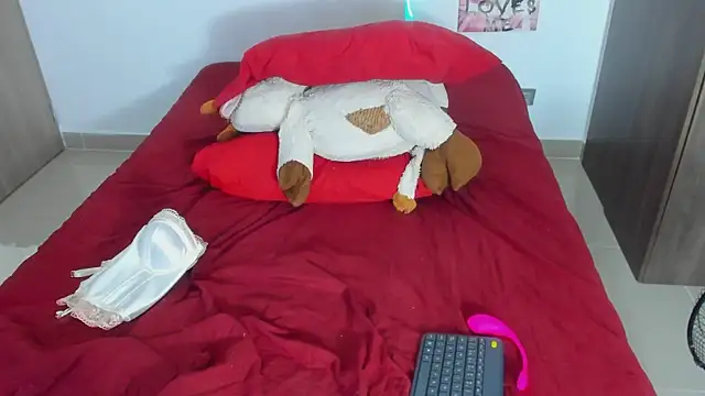 Arimonroee webcam