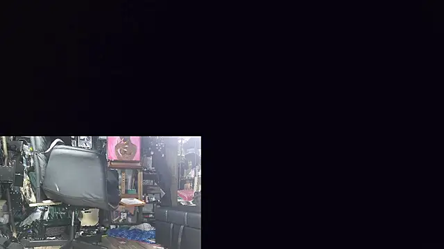 Sinstresshemlock webcam