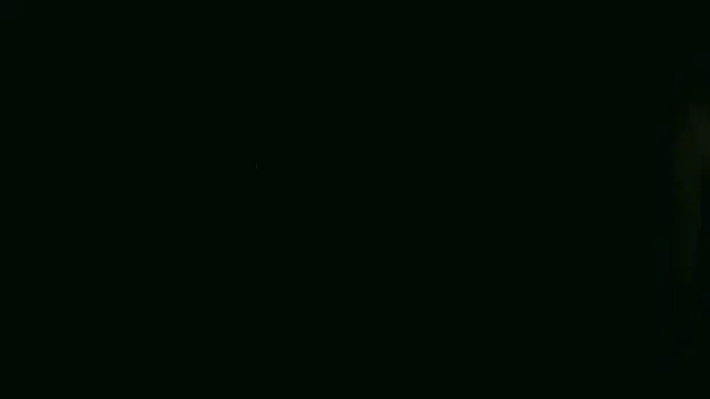 dinalopes webcam