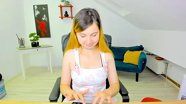 CamelliaStone webcam