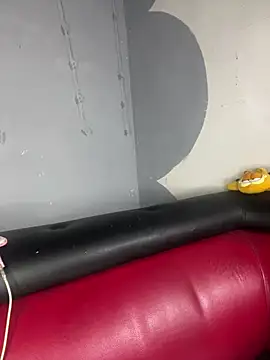Vannelope webcam