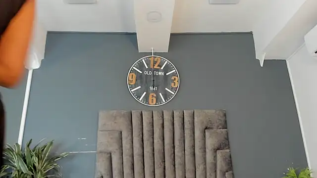 Robin_Rief webcam
