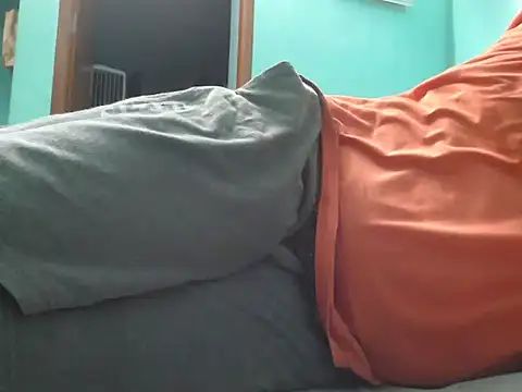 funalu webcam