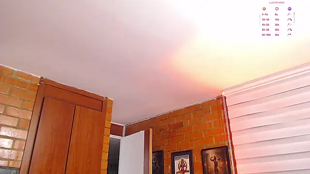 Salome-sw webcam