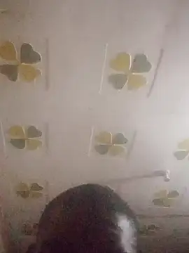 Bigcockbazar webcam