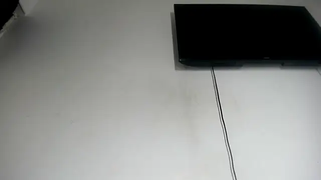 Fox_Loves