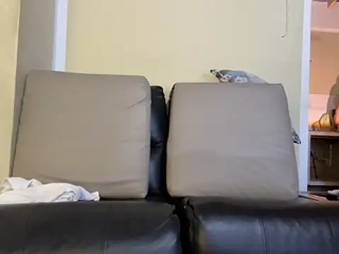 Neil_and_isaac webcam