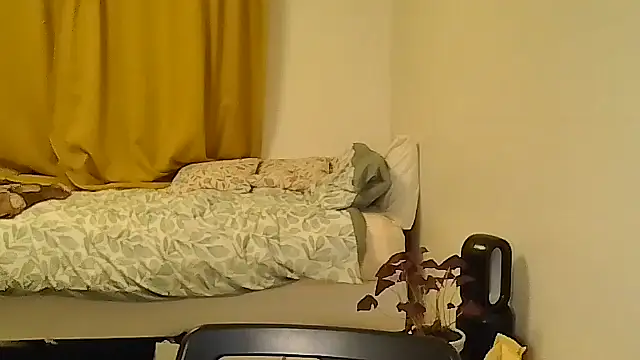 belgianshantie webcam