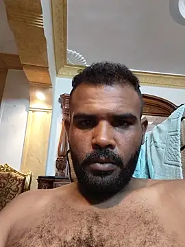 Lion_meis webcam
