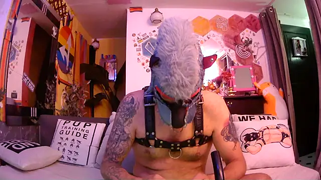 danix_wild_wolf webcam