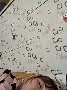 Sana-vn webcam