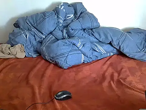 zelyp webcam