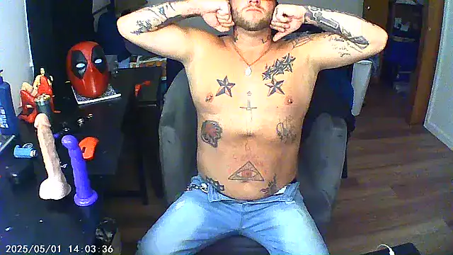 Livingpuddle webcam