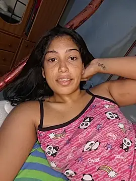 Putaalexa webcam