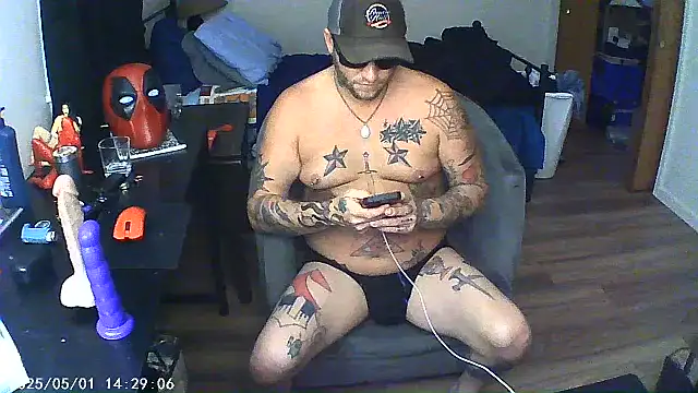 Livingpuddle webcam