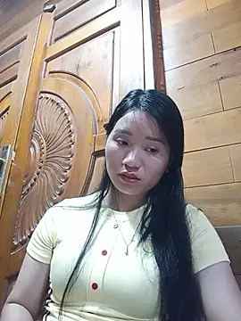 Td3di webcam