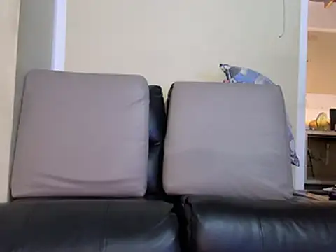 Neil_and_isaac webcam