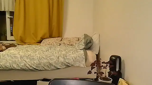 belgianshantie webcam