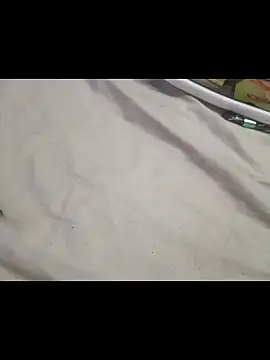 dudewolfen webcam