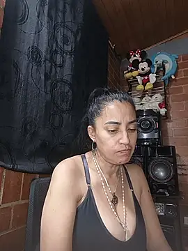 Alexandrina webcam