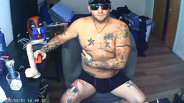 Livingpuddle webcam