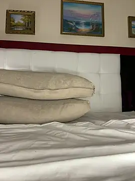 Anal_Top webcam