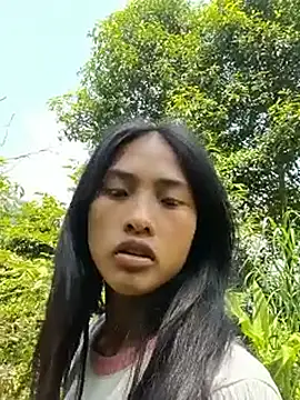 Hoa-tuylip webcam