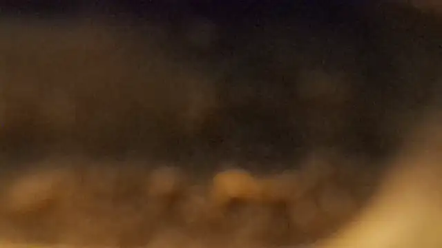 YourHotGreg webcam