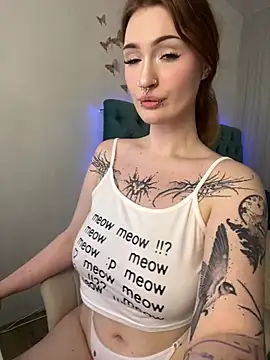 _HESOYAM webcam