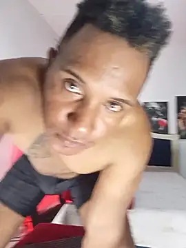 ARTHUR_MINI webcam
