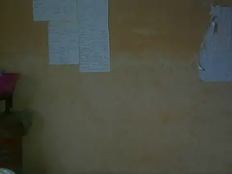 Ritu_8 webcam