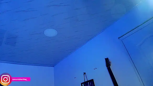 Nicorobinn webcam