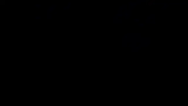 Marian_Fox_ webcam