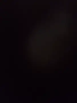 Andreijzhdbsja webcam
