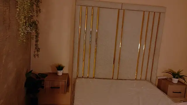 Saekohofman webcam