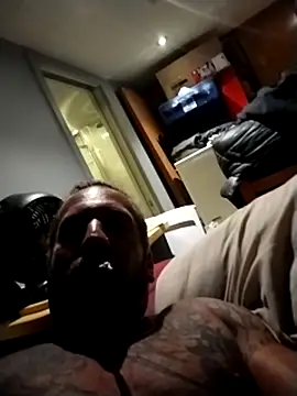 AceticPinscher webcam