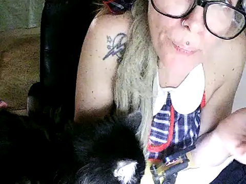 Felinamza webcam