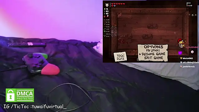 TuWaifuVirtual1 webcam