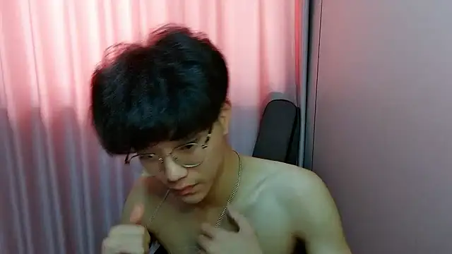 wssoo11 webcam