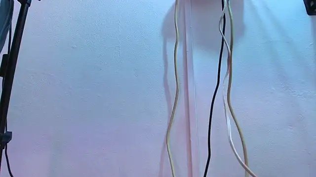 Brillytdoll webcam
