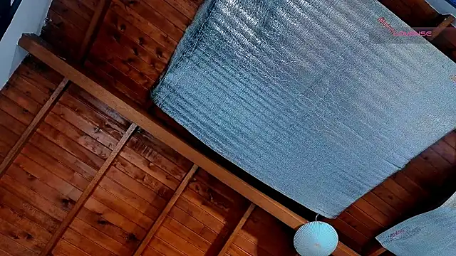 SilvaBranko webcam