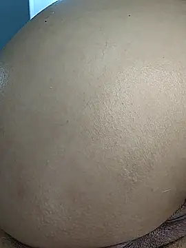 estrella_tasty