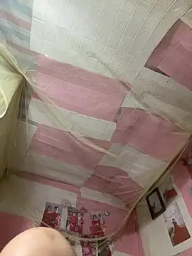 Spying_bird webcam